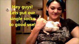 If you want to make a chicken diaper out of the socks, you just need a pair of scissors and a sock! Diy Chicken Diapers Youtube