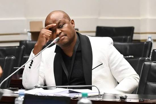 Madlanga Commission | Brown Mogotsi looks to block Advocate Matthew Chaskalson from leading his testimony
