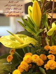 اللون الأصفر هو لون الشمس والنور لون اللطف والوفاء لون الصداقة التي تدوم plants