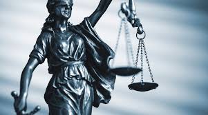 Image result for Justicia engleriana