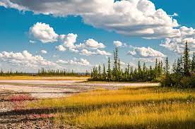 There are plenty of places to stay in the buffalo river national park region. Wood Buffalo Nationalpark In Alberta Kanada
