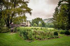 Find traveler reviews and candid photos of dining near canyon kitchen at lonesome valley in cashiers, north carolina. Never Again Review Of Canyon Kitchen At Lonesome Valley Cashiers Nc Tripadvisor