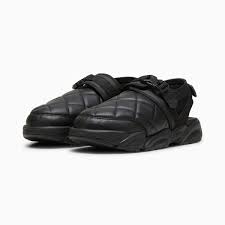 Image result for Panther Black 2001 Puma