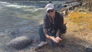 Upper Salmon River in the Fall