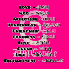 Learn English Vocabulary