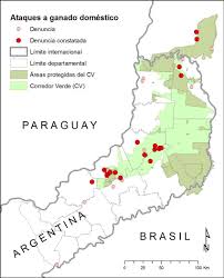Argentina vs paraguay preview 22/06/2021. Localidades De Denuncias De Ataques De Yaguarete Sobre Animales Download Scientific Diagram