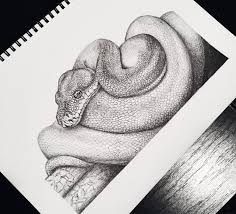 Blind snakes belong to the families anomalepidae, leptotyphlopidae, and typhlopidae in superfamily typhlopoidea. Snake Drawing Drawing