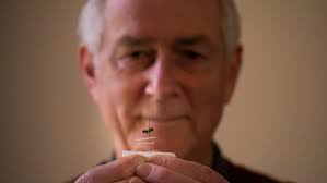 Bee taxonomy in Australia 'in crisis' as dwindling number of experts fear  loss of knowledge