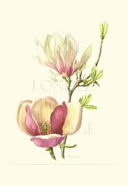 Pin On Watercolor And Coloring Inspiration