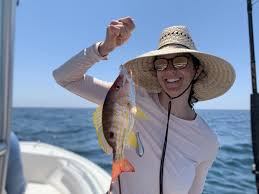 The best way to catch a mangrove snapper is to use a small hook like a #2 j hook or a 1/0 circle hook and a small piece of shrimp because these snappers are excellent bait stealers. Types Of Snapper In Florida A Quick Guide