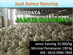 Berikut beberapa saran saya tentang barang apa saja yang wajib anda jual di pasaran karena sangat banyak dicari. Cara Memasak Jamur Kancing Goreng Barang Yang Paling Laku Di Pasaran Jual Jamur Kancing Grosiran Wa 081809867604