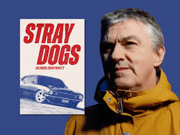 Stray Dogs review: coming-of-age thriller from Newport's Richard John  Parfitt