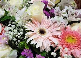 Follow these steps to send floral arrangements, live plants, balloons and other gift items online can i send flowers online today? Send Flowers To Athens Greece And Worldwide