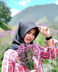 Stereo badai birubadai birubadai birubadai birubadai birubadai. April Ini Bunga Verbena Di Semeru Sedang Mekar Mekarnya Sangat Cantik