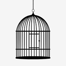 Empty Birdcage Cartoon Cage Cage For Birds Bird Cage Bird Drawings Purple Abstract