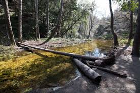 They are lived in seasonally, and some are pretty beautiful. Hiking Sturtevant Falls In Santa Anita Canyon California Through My Lens