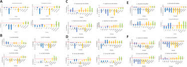 Image result for Newtonia hildebrandtii