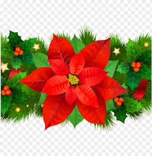 Your email address will not be published. Oinsettia Clipart Christmas Rose Christmas Decoration Clip Art Png Image With Transparent Background Toppng