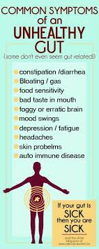 Bitter Taste In My Mouth And Headache If Your Gut Is Sick You Are Sick 5 Ways To Heal Your Gut Mommy On Purpose Gut Health Plexus Products Feeling Sick