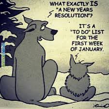 Animal Memes What Is A New Years Resolution New Years Resolution Funny Funny New Year Resolutions Funny