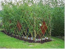 Laube Aus Lebenden Weiden Weiden Laub Marchen Garten