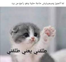 pin by salma hatem on hals funny photo memes fun quotes funny arabic funny