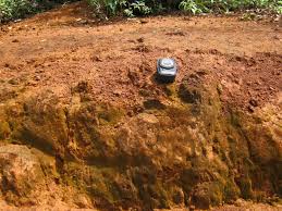 Tanah organosol atau tanah gambut. Ciri Dan Jenis Jenis Tanah Di Indonesia Guru Geografi