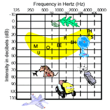 The vertical axis of the audiogram represents sound volume or intensity, which is measured in decibels (db). How To Read An Audiogram Beginnings