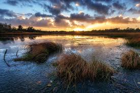 The teufelsmoor is a region of bog and moorland north of bremen, germany. Herbst Im Teufelsmoor Foto Bild Landschaft Sonnenuntergang Natur Bilder Auf Fotocommunity