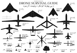 Drone Survival Guide Zap R C