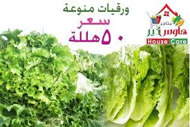 متاجر هاوس كير On Twitter Vegetables Food Lettuce