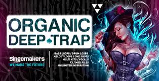 He initially seems to be a good host but the couple starts to suspect that his true intentions are much more sinister. Top 5 Deep Trap Sample Packs Your Guide To Deep Trap Chill Trap Loops Samples Sounds