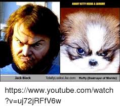 You can destroy other things… best placements that would make a good destroyer of worlds? Jack Black Totally Lookslikecom Fluffy Destroyer Of Worlds Httpswwwyoutubecomwatch V Uj72jrffv6w Meme On Me Me