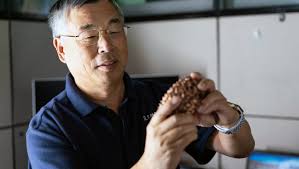 Next-Generation Bag and Pouch Making Machines