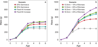 Comparison Of Predicted Rainbow Trout Growth Curves For