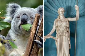 Whether you have a science buff or a harry potter fa. Can You Pass This Super Basic General Knowledge Trivia Quiz