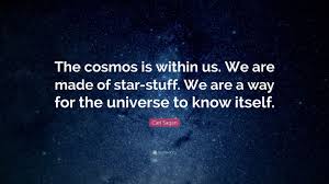 We Are A Way For The Universe To Know Itself Carl Sagan Quote The Cosmos Is Within Us We Are Made Of Star Stuff We Are A Way For The Universe To Know Itself Cosmos Quotes Startup Quotes Cheesy Quotes