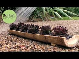 We did not find results for: Burke S Backyard How To Make A Bamboo Planting Container Youtube