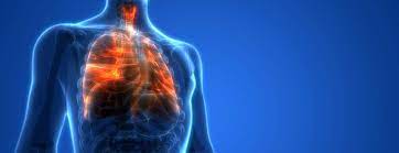 Lung Biopsy Johns Hopkins Medicine