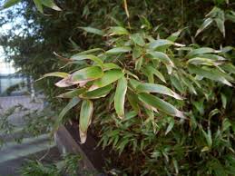 Outdoor-Handy Archos 50 Saphir ...