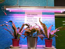 We're excited to announce that philips hue was recently awarded winner in the latest t3 awards 2021 for 'best smart lighting' and 'best outdoor lighting' with the. What Do You Think Of Using Hue Lights To Help Plants Grow And If So How Do You Use Them Hue