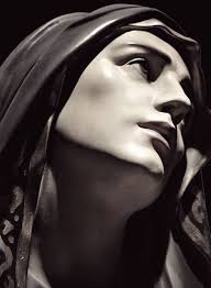 Tom DePriest (tomdepriest)