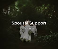 No one likes paying alimony to their ex. What Is Spousal Support In Canada