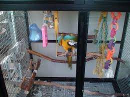 The lock is also of questionable build quality and i'm concerned as to just how long it will last. Hybrid Bird Cage Purchased From Cages By Design Has Been Ali Macaw S Happy Home For The Past Eight Years I Highly Recommend T Bird Cages Parrot Toys Bird Toys