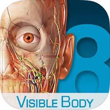 Human Anatomy Atlas 3d Anatomical Model Of The Human Body By Visible Body Human Body Anatomy Human Anatomy Body Anatomy