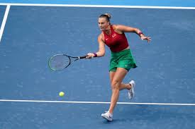 Never miss another show from karol stopa. Injcqse8bluegm