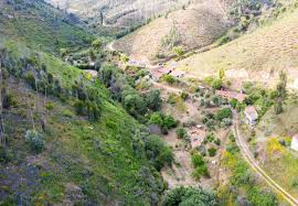 Home wine reviews portugal quinta da fonte souto, vinha do souto. Home Quinta Da Fonte