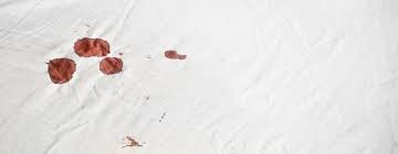 Warte also nicht mit dem reinigen deiner matratze, bis das blut eingetrocknet ist, sondern mach dich sofort daran. á… Blutflecken Entfernen Mit Diesen 7 Tipps Klappt S Auf Jeden Fall