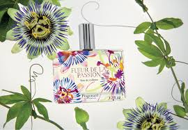See more ideas about amazing grace perfume, perfume, amazing grace. Fragonard Perfumer Grasse Paris Eze Milano Saint Tropez Cannes Avignon Nice Saint Paul De Vence