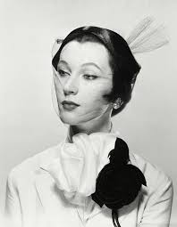 Baby Bicorne With Veil Art Print